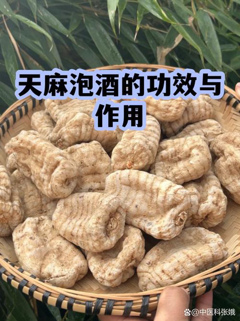 根酒批发：把握行业脉动，开拓市场新高地